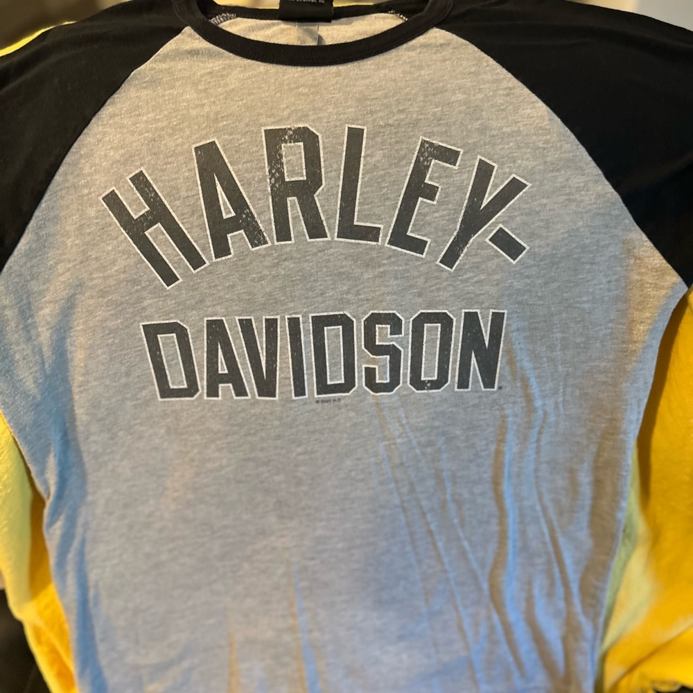 Harley-Davidson Black and Gray Raglan Tee